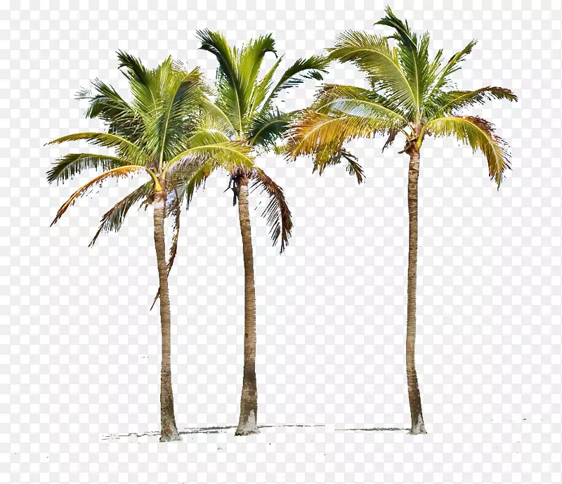 迈阿密，印度海岸，普鲁姆利湾海滩，房地产，西棕榈滩-海滩