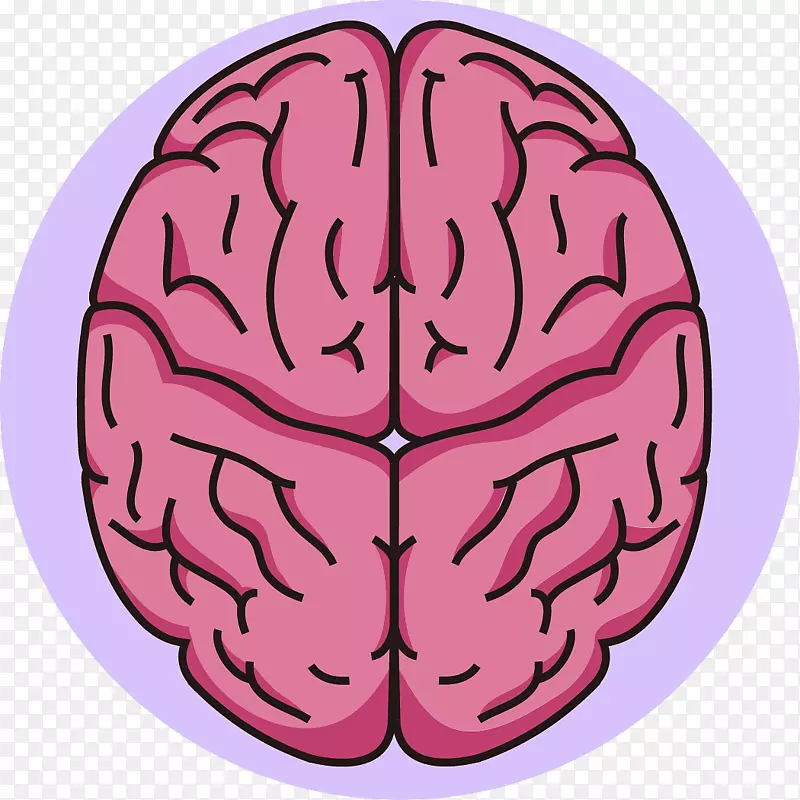 前脑剪贴术神经病学.脑科学