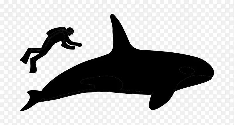海豚黑白剪贴画动物