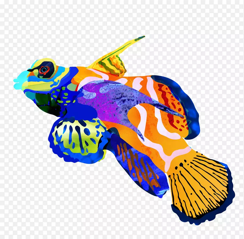 插图设计鱼夹艺术动物-碧旗