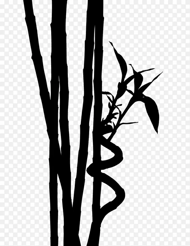 黑白花叶植物茎字体