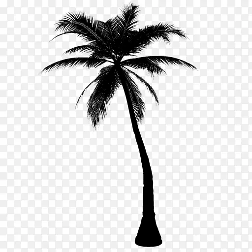 棕榈树剪贴画椰子png图片