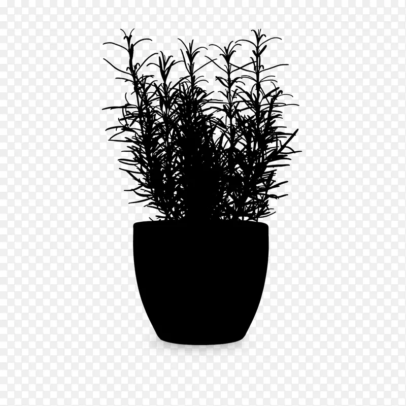 黑白花盆室内植物产品设计