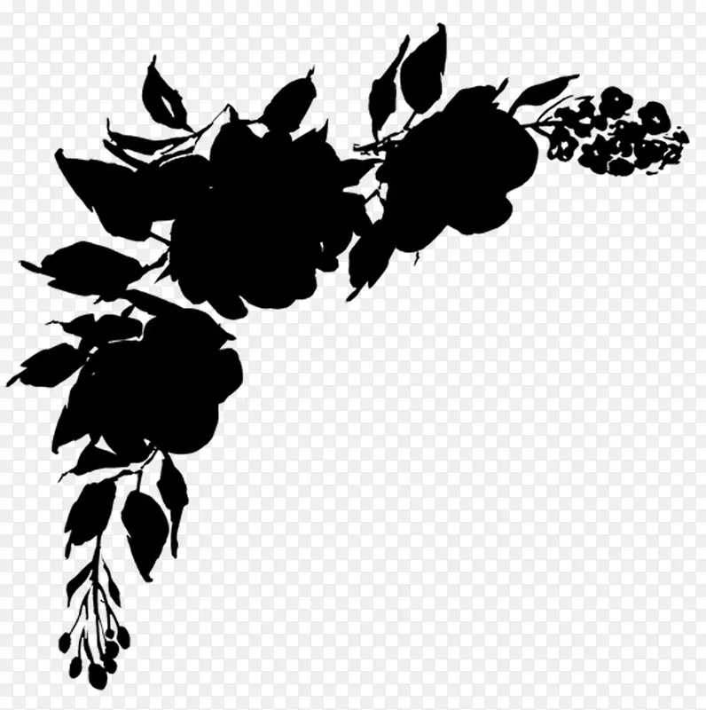 黑白-m型桌面壁纸花卉字体