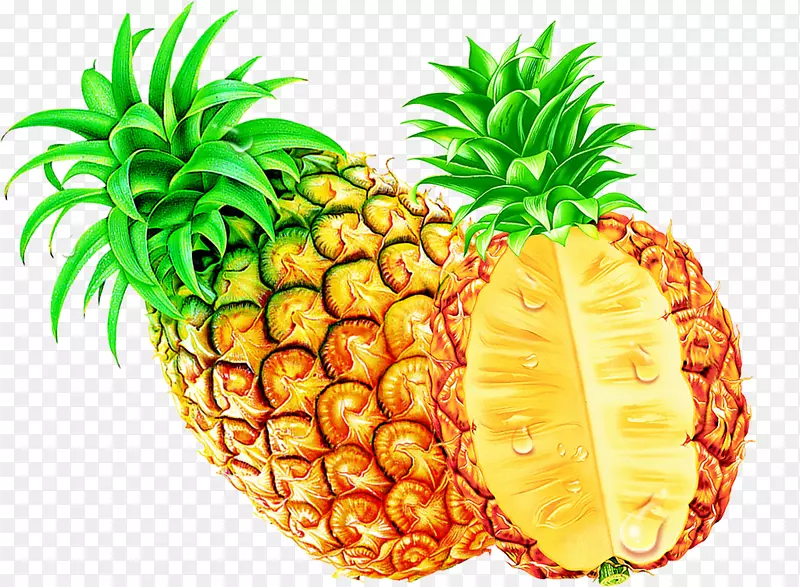 菠萝热带水果anana comosus食品-菠萝信息图