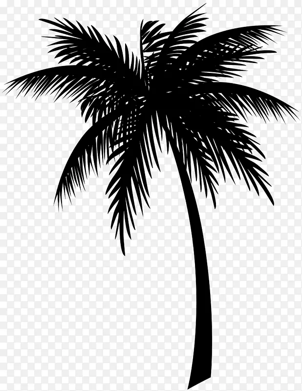 牙买加椰子剪贴画棕榈树