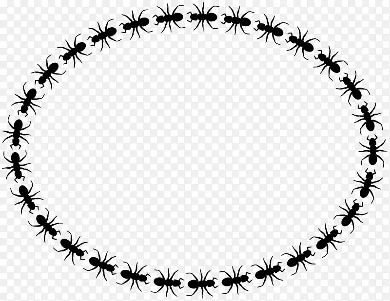 黑色花园蚂蚁剪贴画图形黑色木匠蚂蚁