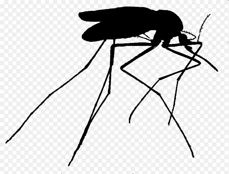 蚊虫黑白插图剪贴画