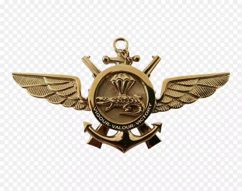 斯里兰卡海军陆战队美国海军陆战队形象-自行车徽章