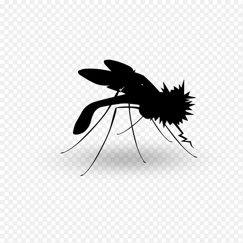 蚊虫黑白产品设计
