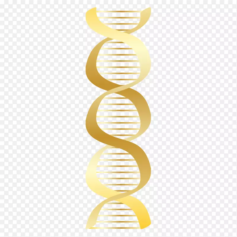 剪贴画图形png图片计算机图标图像dna png