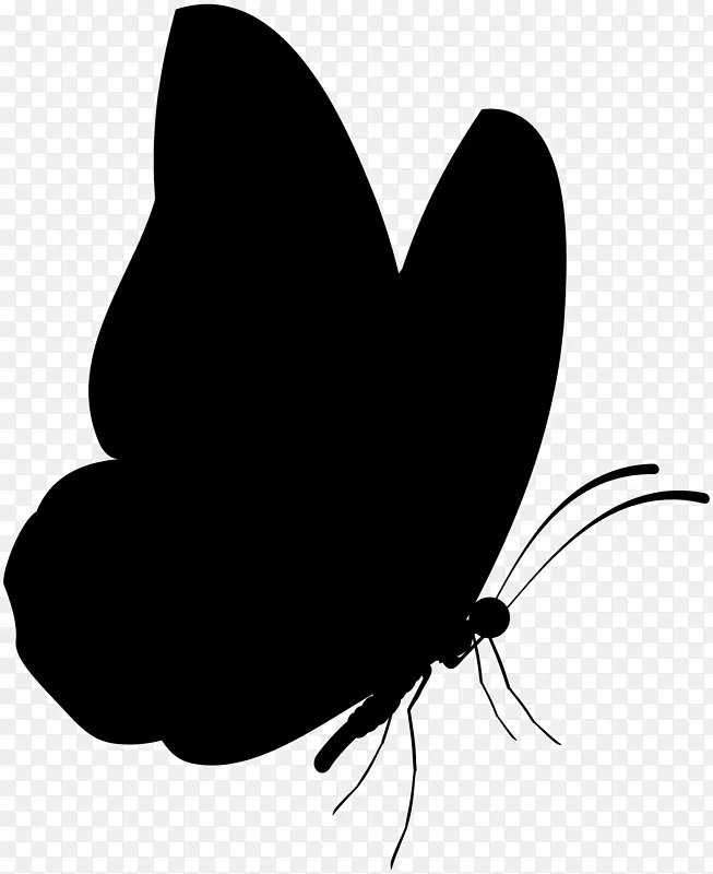毛茸茸的蝴蝶黑白剪贴画剪影