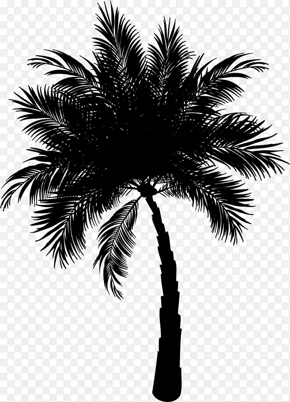 棕榈树亚洲棕榈枣棕榈树椰子剪贴画