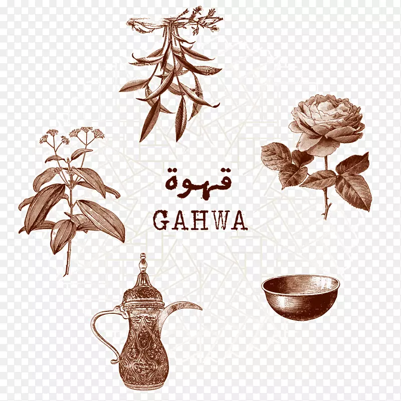 阿拉伯咖啡杯真豆蔻字体-咖啡