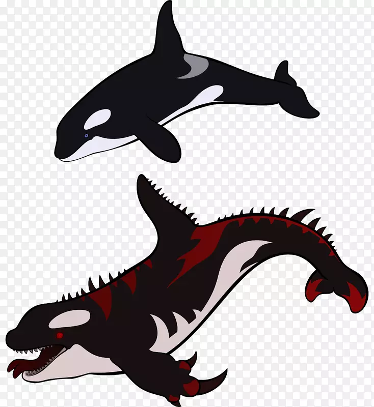虎鲸、海豚、鲸鱼、鲸目动物-鲨鱼