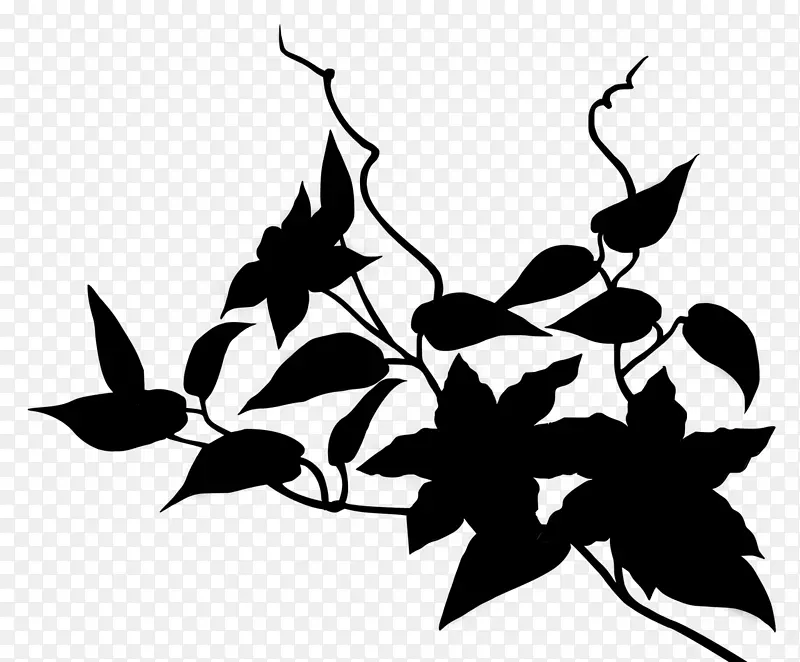黑白剪贴画叶型植物茎