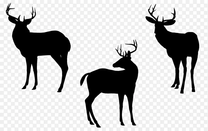 驯鹿，麋鹿，白尾鹿，鹿茸