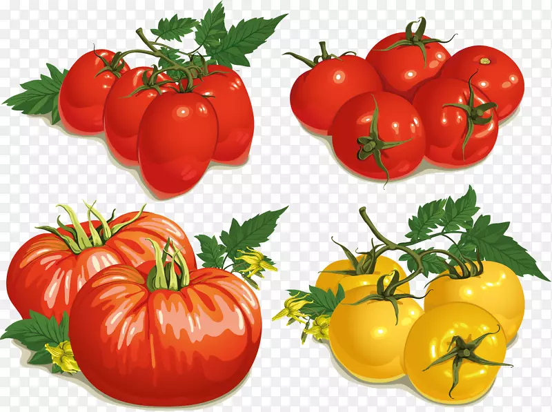 图形插图蔬菜水果封装的后记-番茄
