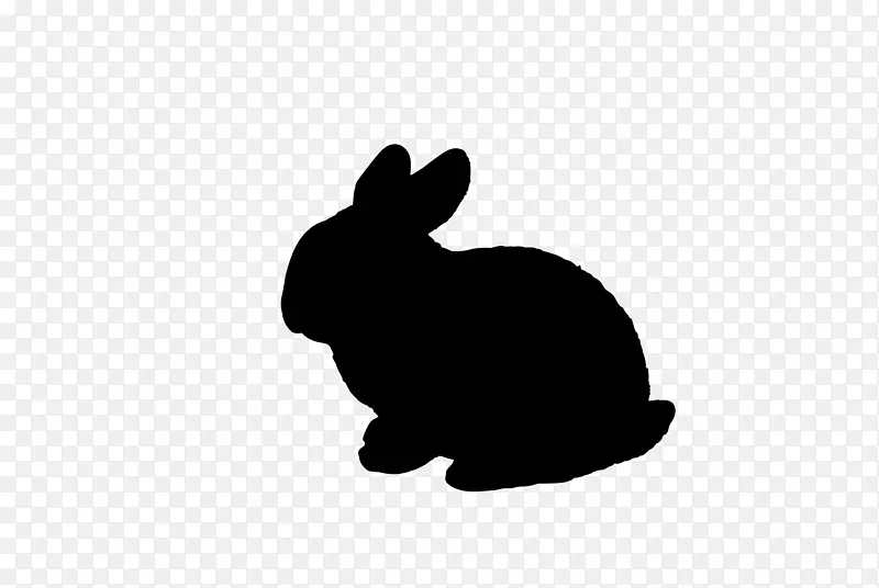 家养兔子复活节兔黑白兔