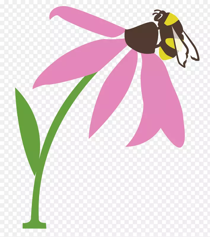 蜂夹艺术蝴蝶授粉-蜜蜂