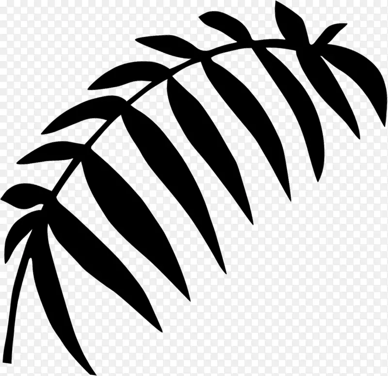 棕榈树黑白剪贴画叶植物茎