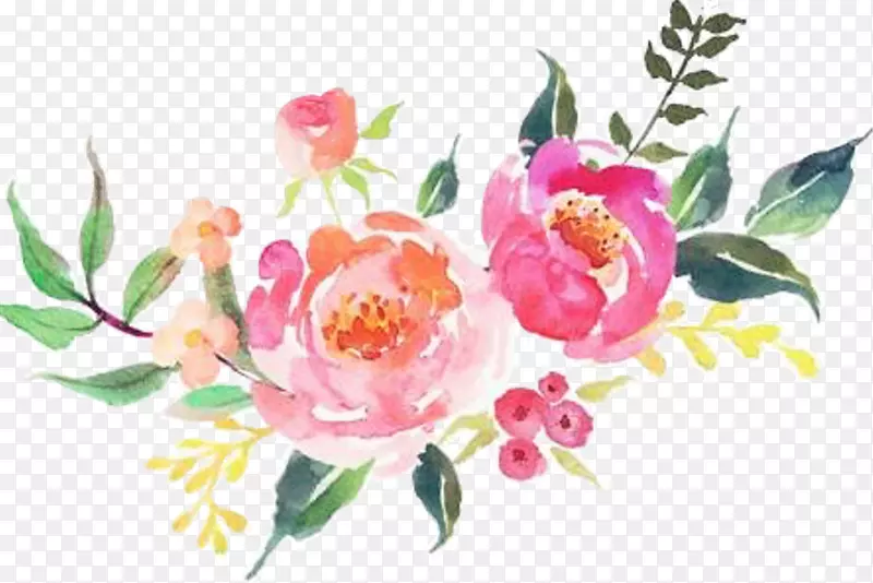 水彩画png图片图像绘制花卉