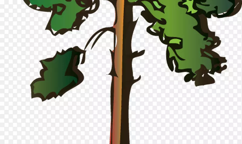 剪贴画苏格兰松插图云杉针叶.卡通红木树
