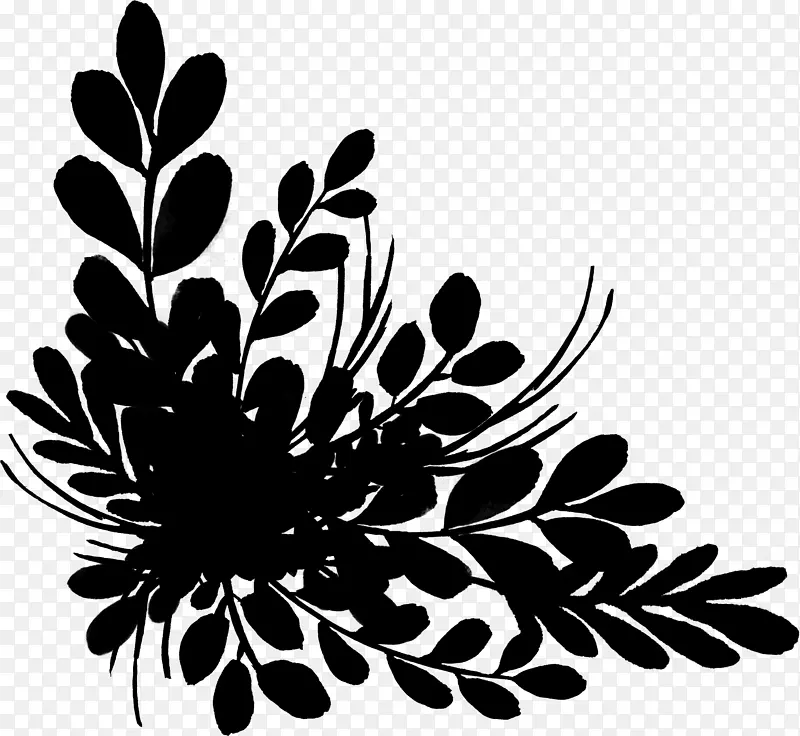 菊花黑白花纹图案