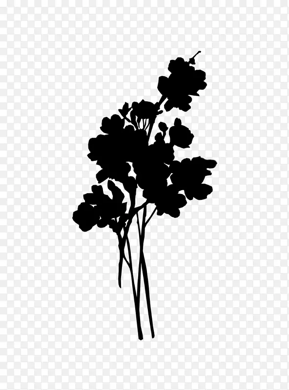 黑白花叶植物茎轮廓