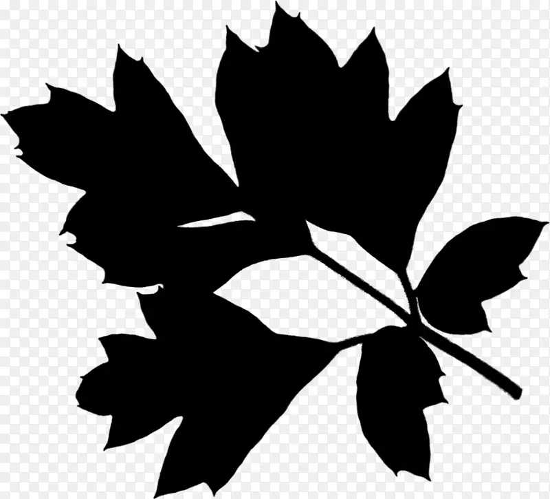 枫叶黑白剪贴画植物茎