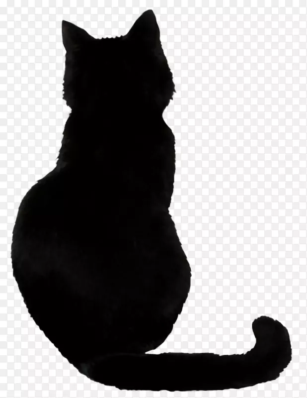 孟买猫草原猫黑猫科野猫黑色透明