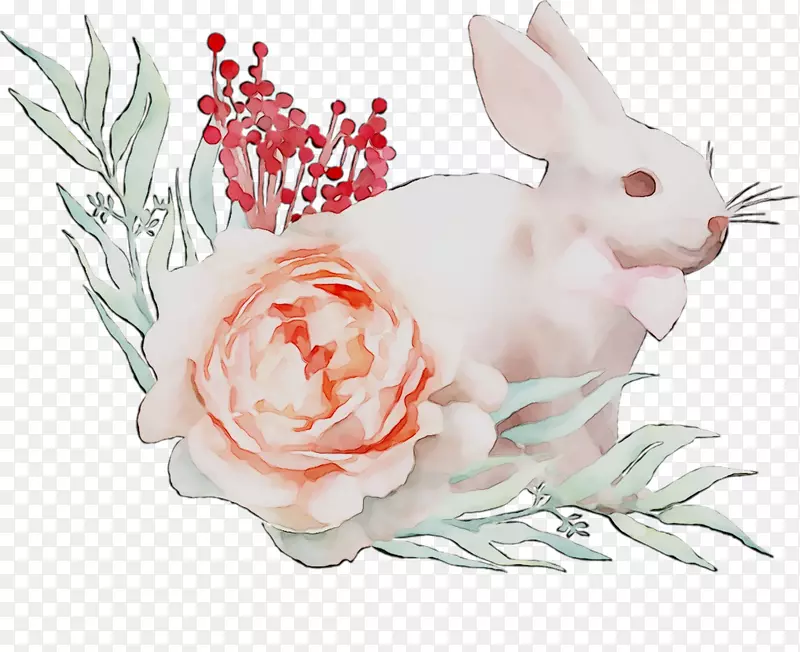 家养野兔插画玫瑰花系列