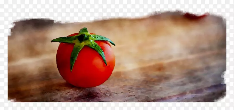 番茄静物摄影本地食物