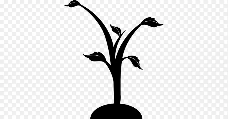 嫩枝黑白剪贴画植物茎叶