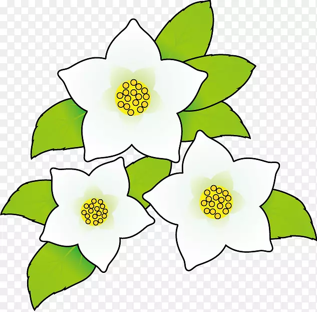 插画图像花卉设计花卉剪贴画