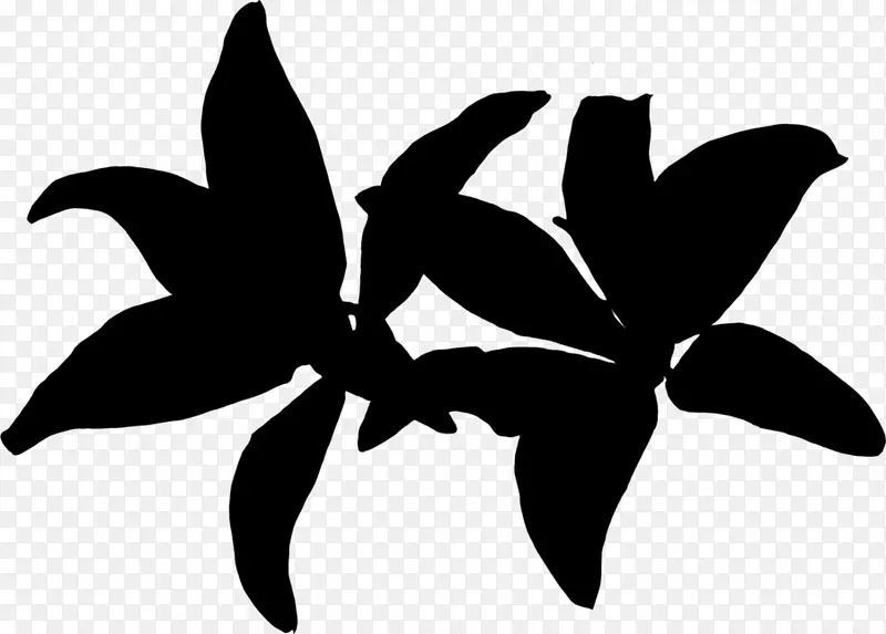 黑白剪贴画剪影叶开花植物