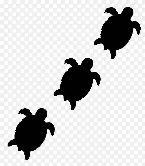 海龟剪贴画黑白-米龟
