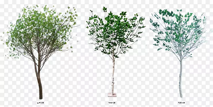 png图片-土坯Photoshop树灌木酱.景观设计