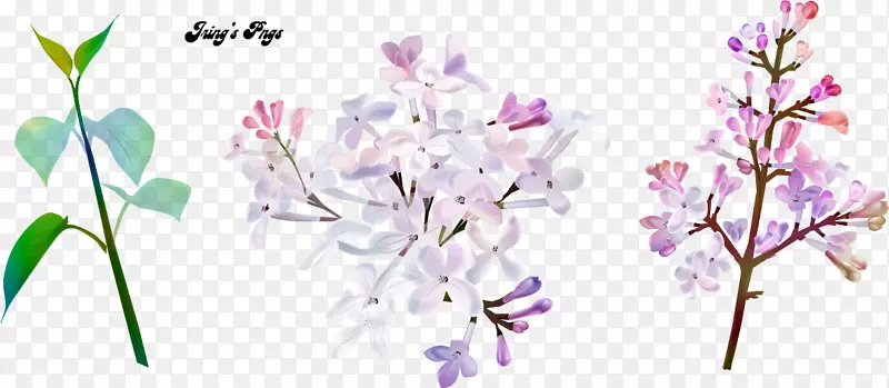 切花花卉设计图像png图片.集流水流图