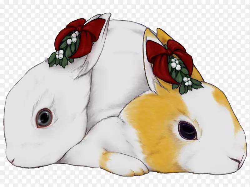 国内兔欧洲兔圣诞日图片-槲寄生白浆果