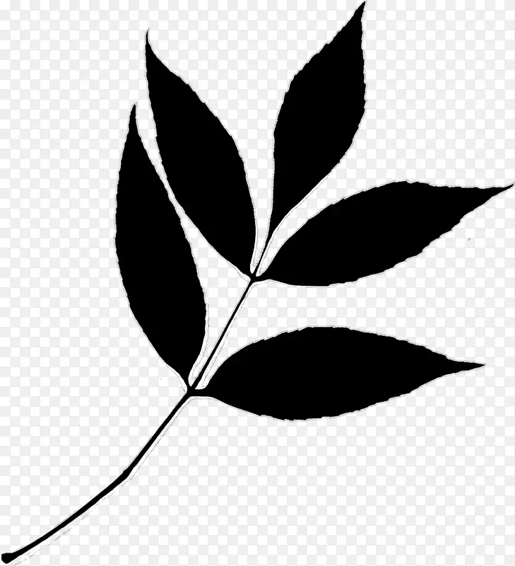 剪枝艺术植物茎叶线