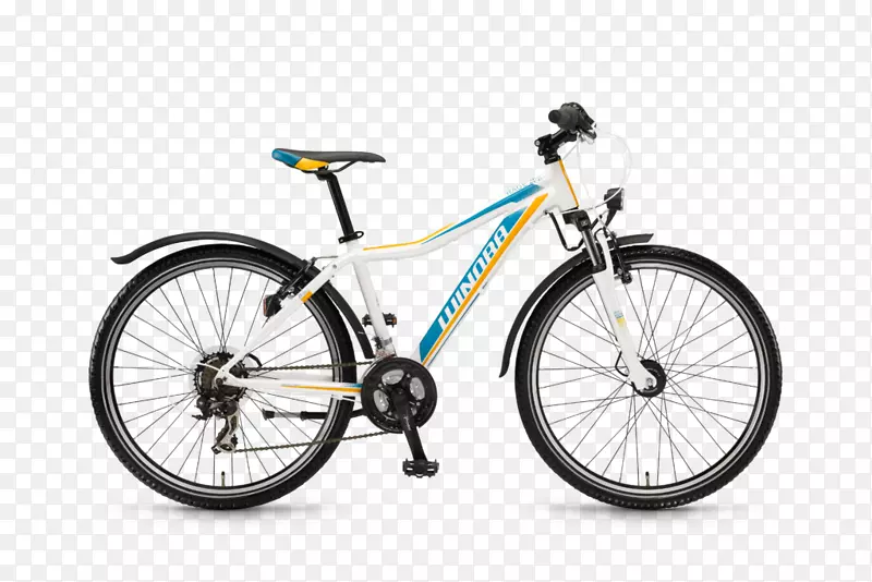电动自行车山地车Winora集团自行车框架-自行车