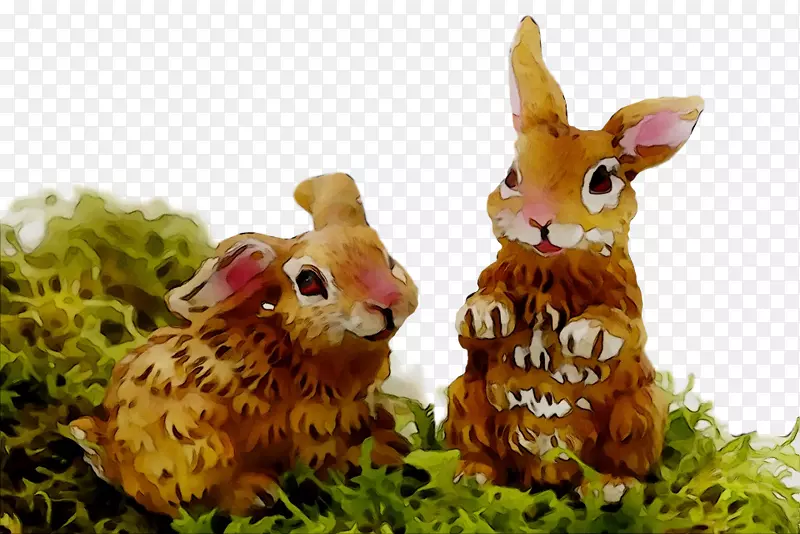 复活节兔子家兔视频