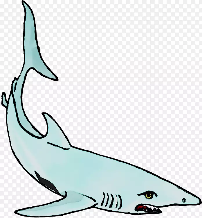 图库溪剪贴画方形鲨鱼安魂曲鲨鱼线艺术