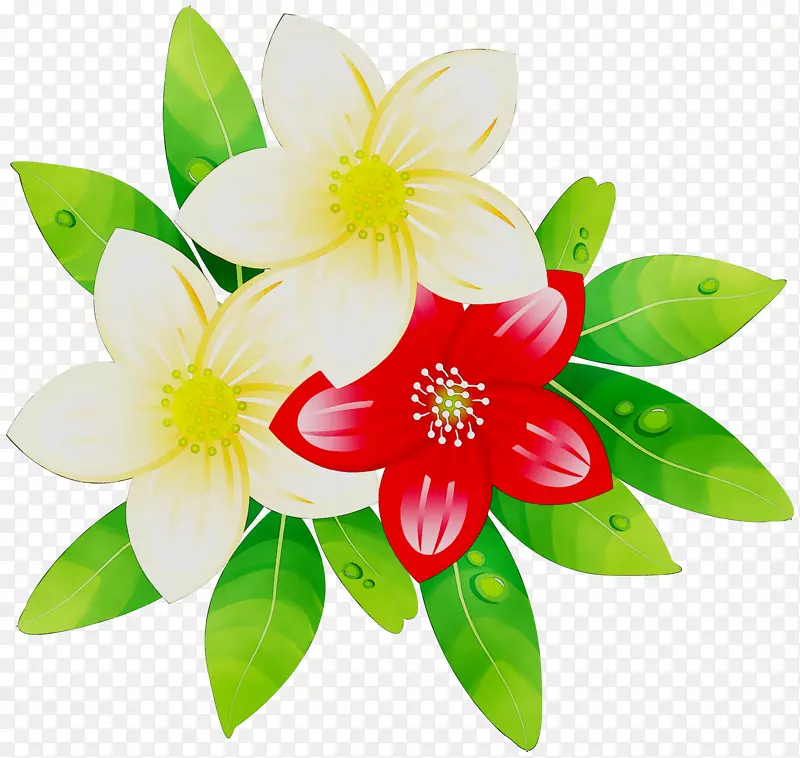 花瓣花切花植物