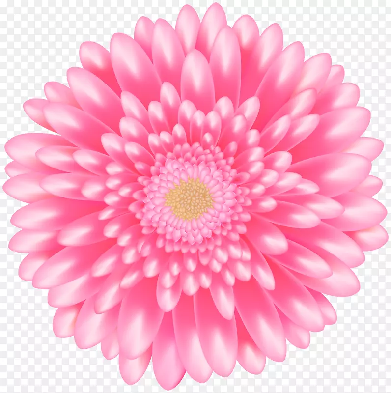 剪贴画png图片粉红色花透明.花