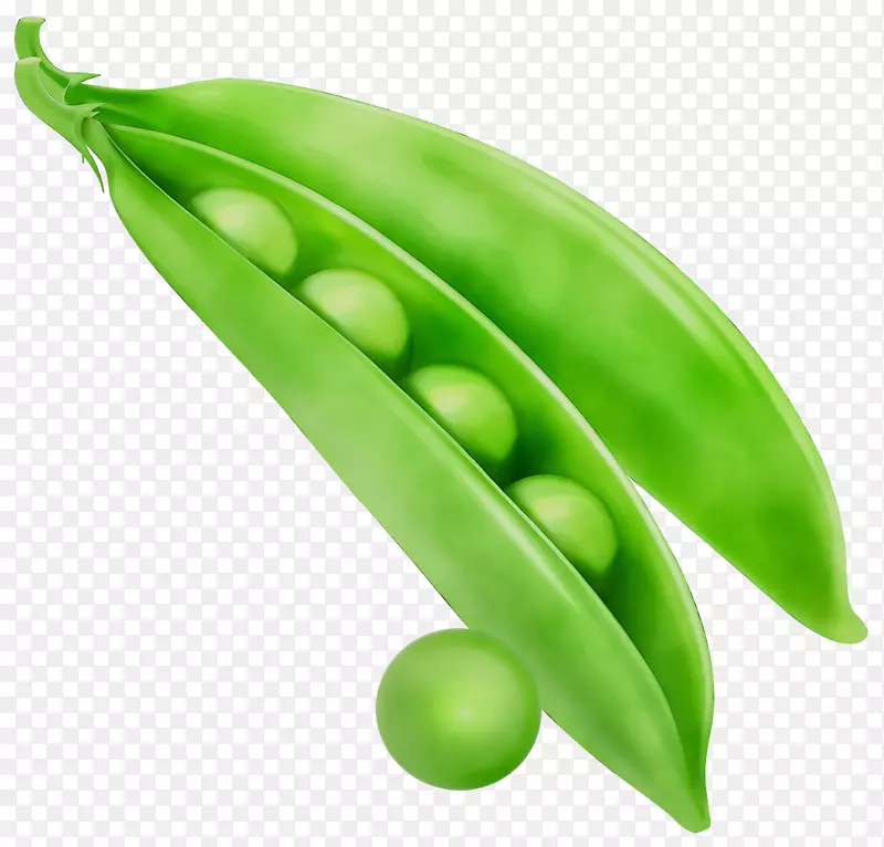 雪豌豆夹艺术蔬菜素菜菜谱豌豆