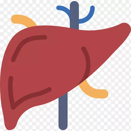 剪贴画计算机图标png图片医学图形透明肝脏