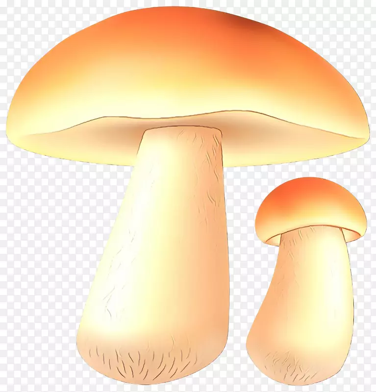 产品设计蘑菇橙S.A.