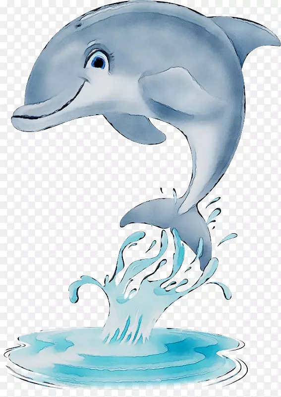 普通宽吻海豚图库溪短喙普通海豚粗齿海豚